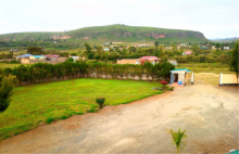 mbogo